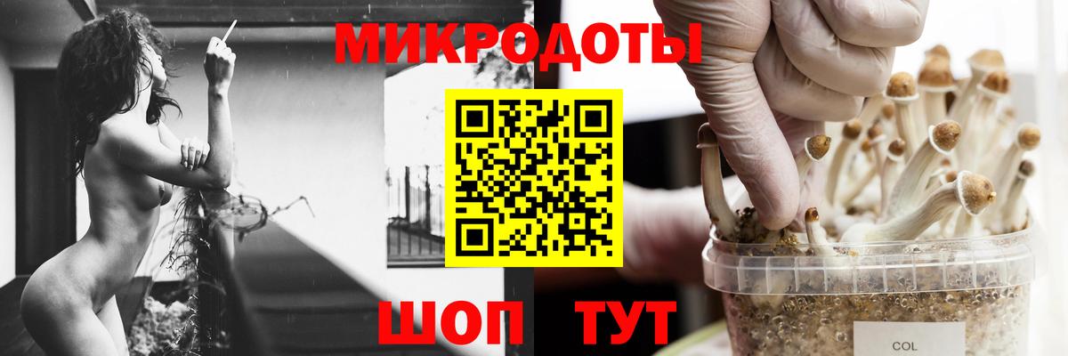 Псилоцибиновые грибы Psilocybe Тельмана